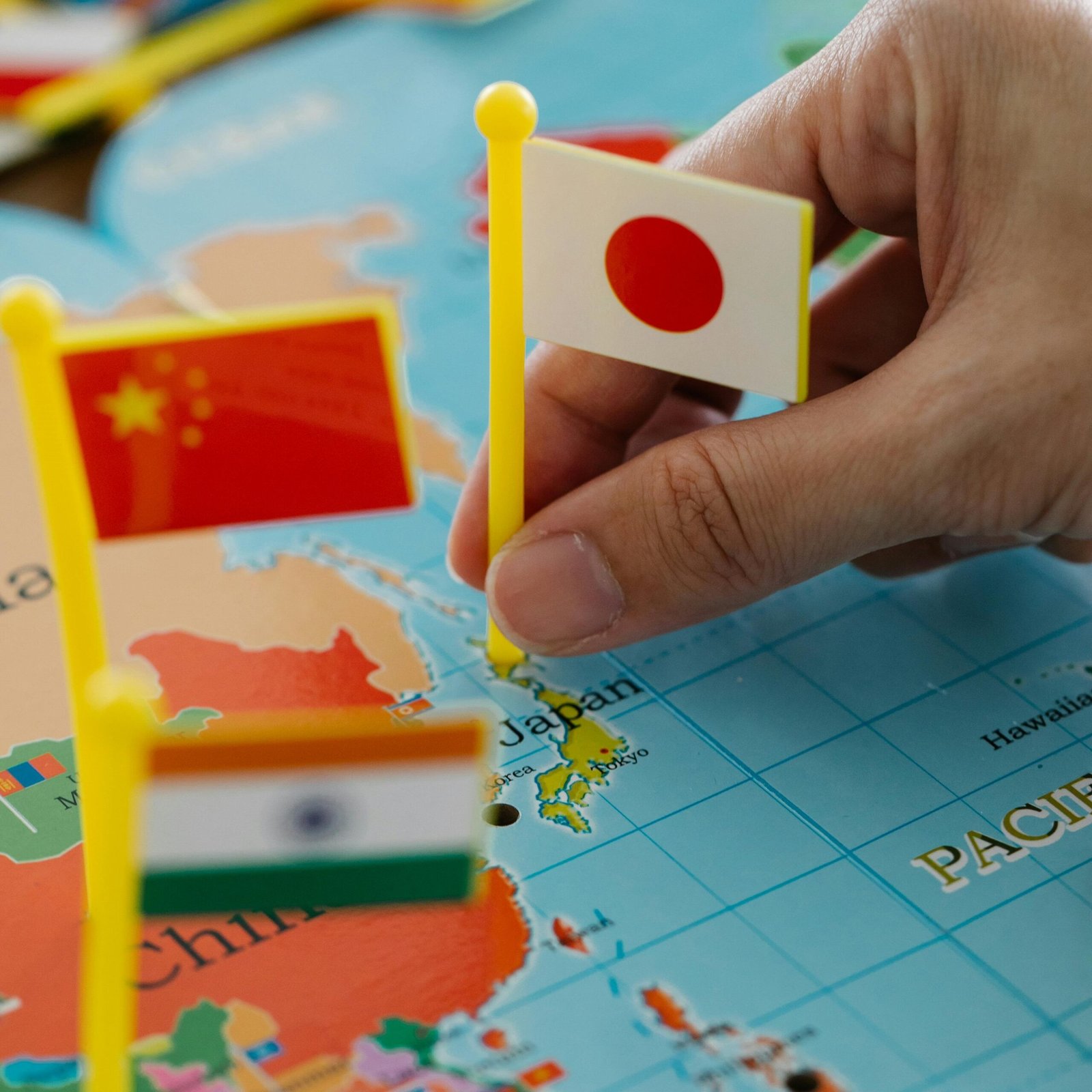 pexels-lara-jameson-8828356