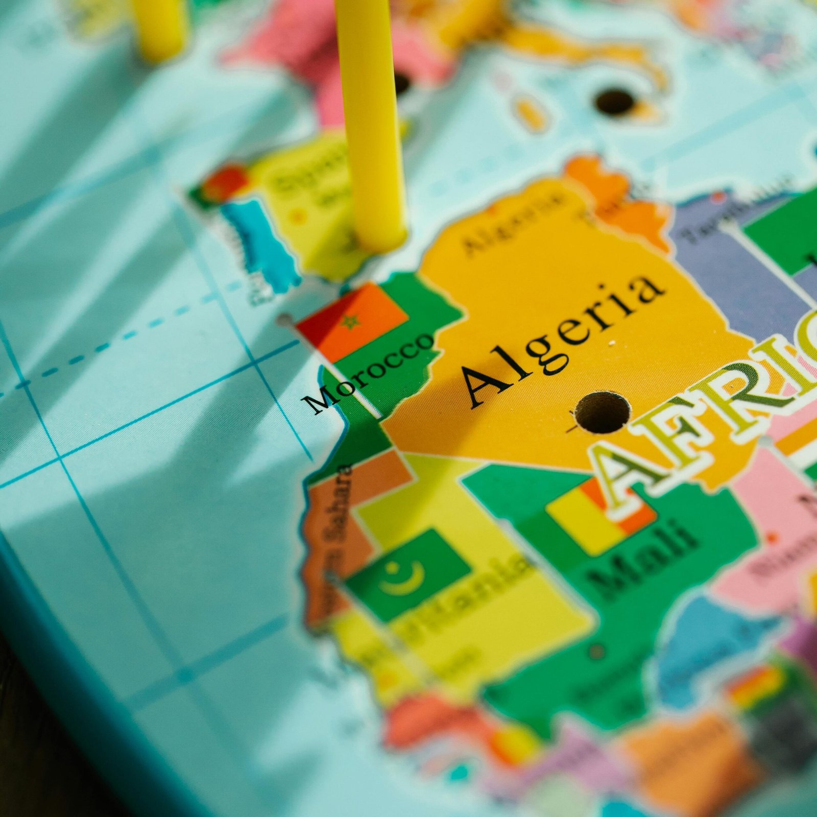 pexels-lara-jameson-8828598